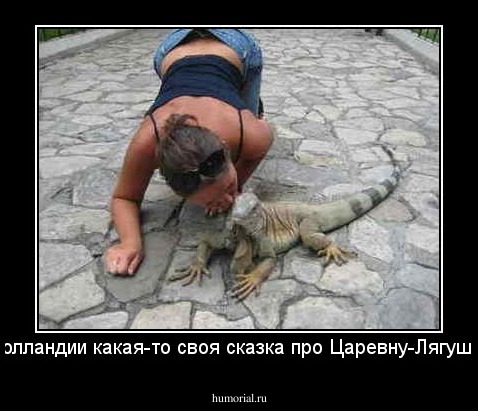 В Голландии какая-то своя сказка про Царевну-Лягушку...