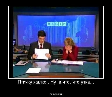 Птичку жалко...Ну  и что, что утка...