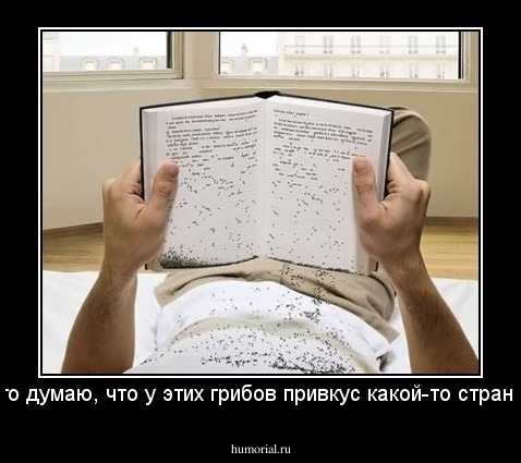 А я то думаю, что у этих грибов привкус какой-то странный..