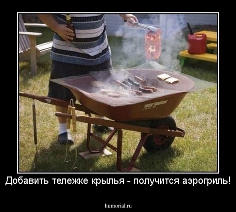Добавить тележке крылья - получится аэрогриль!