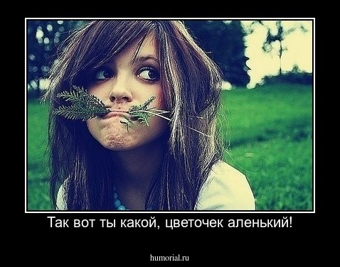 Так вот ты какой, цветочек аленький!