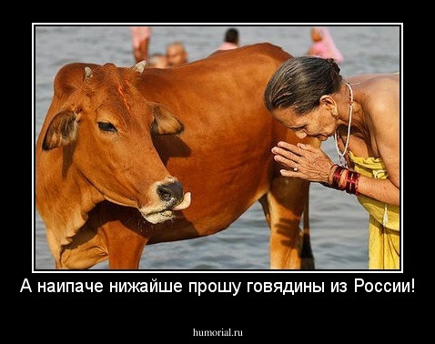 А наипаче нижайше прошу говядины из России!