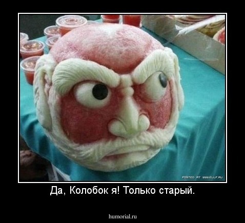 Да, Колобок я! Только старый.