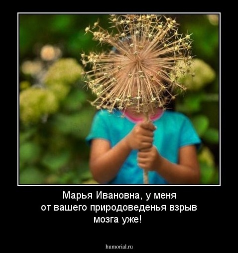 Марья Ивановна, у меня от вашего природоведенья взрыв мозга уже! 