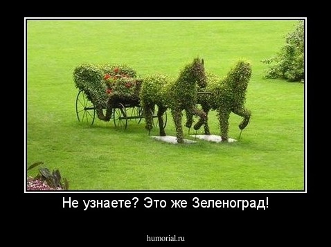 Не узнаете? Это же Зеленоград!