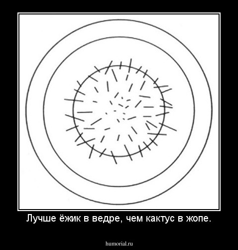 Лучше ёжик в ведре, чем кактус в жопе.