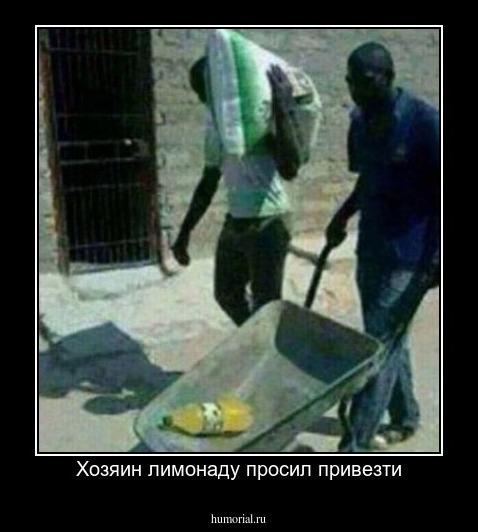 Хозяин лимонаду просил привезти