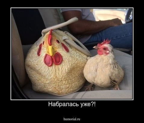 Набралась уже?!