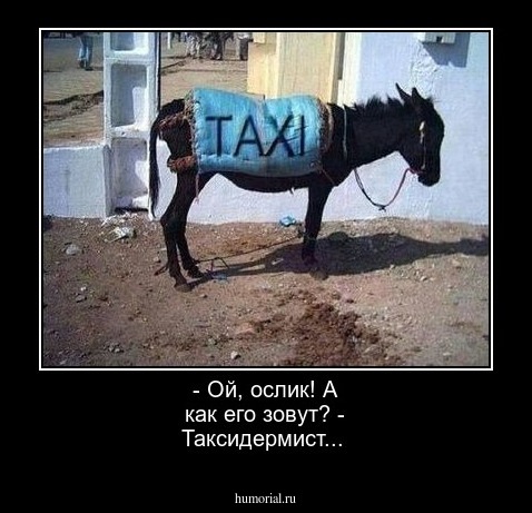 - Ой, ослик! А как его зовут?
- Таксидермист...