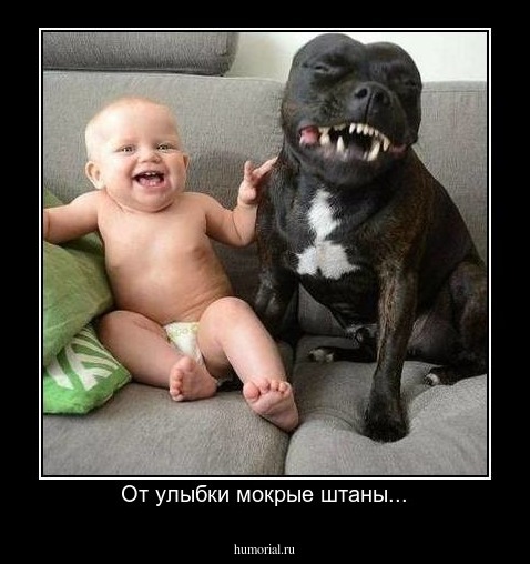 От улыбки мокрые штаны...
