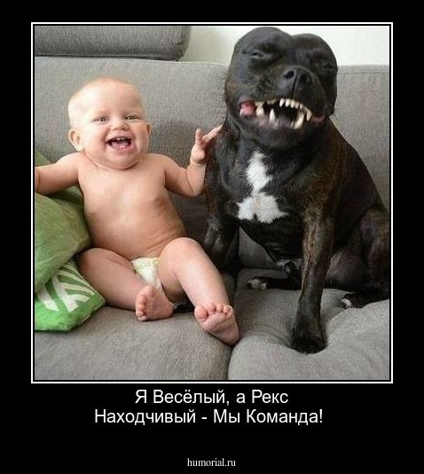 Я Весёлый, а Рекс Находчивый - Мы Команда!