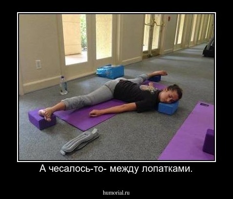А чесалось-то- между лопатками.