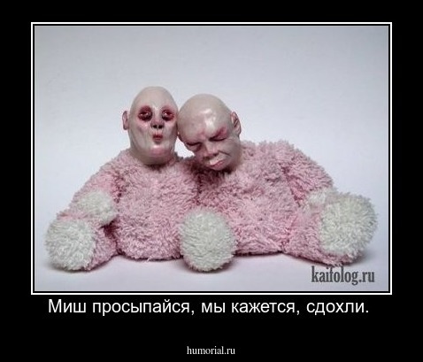 Миш просыпайся, мы кажется, сдохли. 