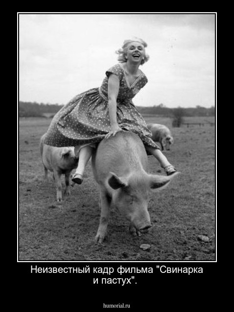 Неизвестный кадр фильма  "Свинарка и пастух".