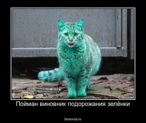 Пойман виновник подорожания зелёнки