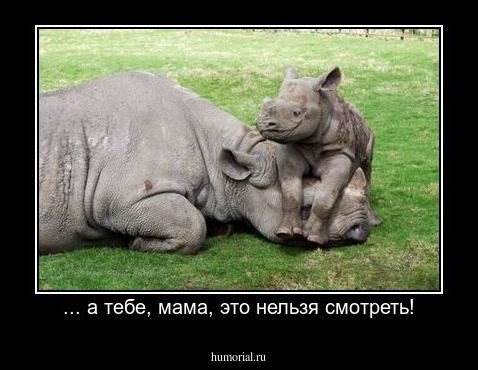 ... а тебе, мама, это нельзя смотреть!