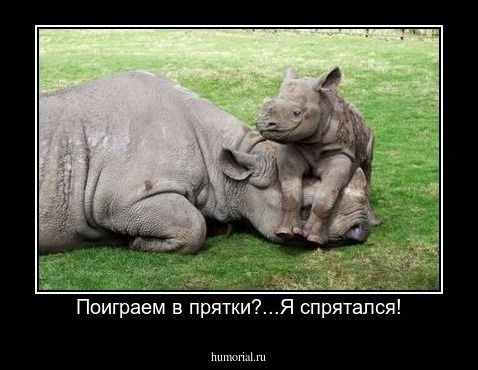 Поиграем в прятки?...Я спрятался!