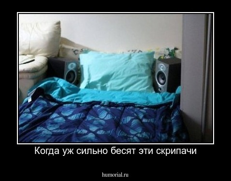 Когда уж сильно бесят эти скрипачи