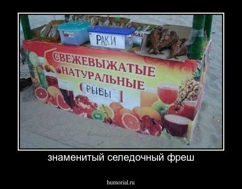 знаменитый селедочный фреш