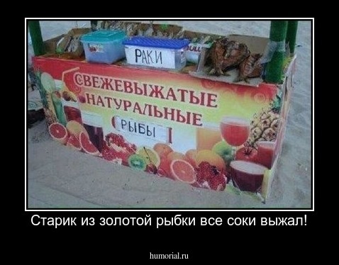 Старик из золотой рыбки все соки выжал!