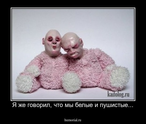 Я же говорил, что мы белые и пушистые...