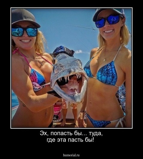 Эх, попасть бы... туда, где эта пасть бы!