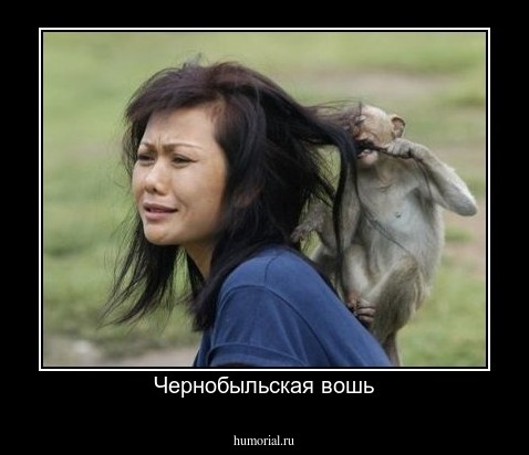 Чернобыльская вошь