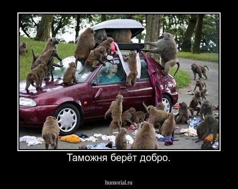Таможня берёт добро.