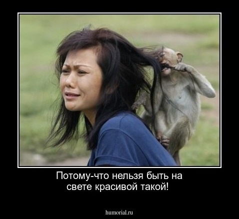 Потому-что нельзя быть на свете красивой такой!