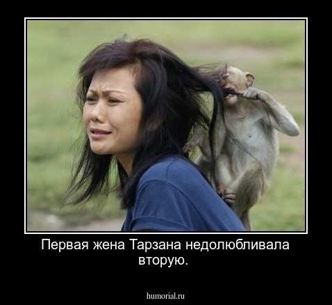 Первая жена Тарзана недолюбливала вторую.