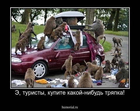 Э, туристы, купите какой-нибудь тряпка!