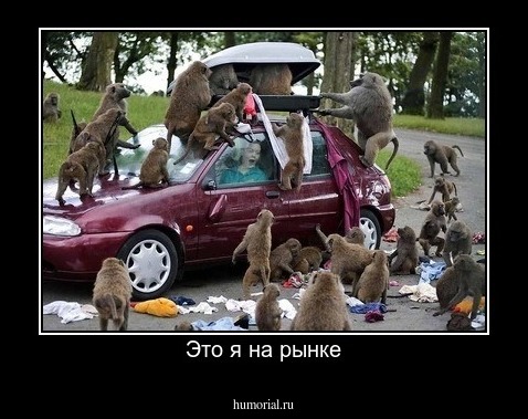 Это я на рынке