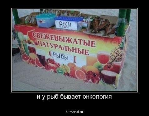 и у рыб бывает онкология