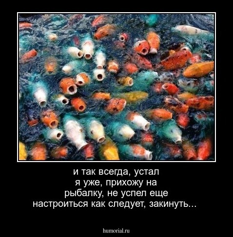 и так всегда, устал я уже, прихожу на рыбалку, не успел еще настроиться как следует, закинуть...