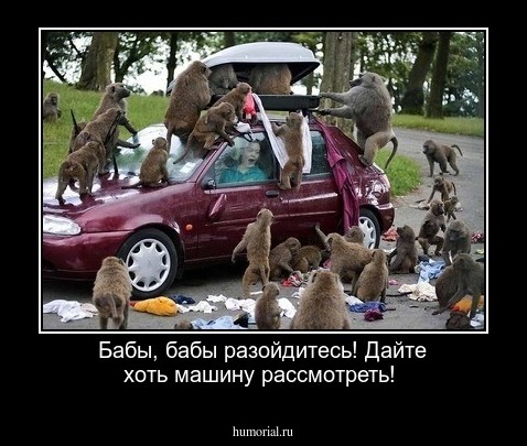 Бабы, бабы разойдитесь! Дайте хоть машину рассмотреть!