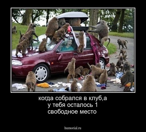 когда собрался в клуб,а у тебя осталось 1 свободное место