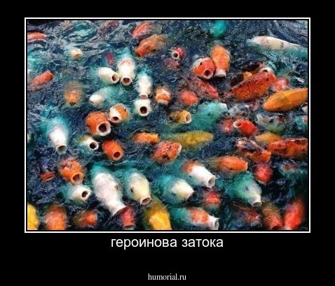героинова затока