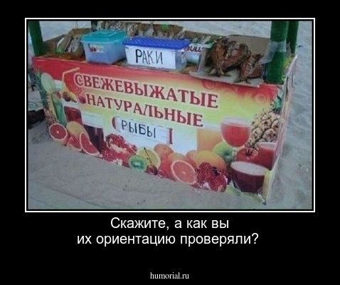 Скажите, а как вы их ориентацию проверяли? 