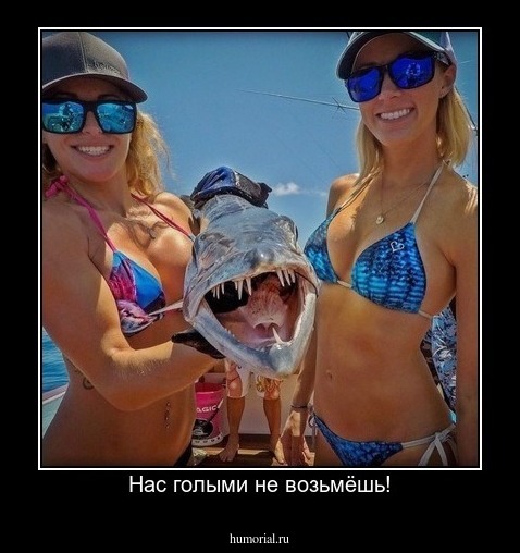 Нас голыми не возьмёшь!