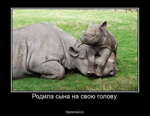 Родила сына на свою голову.