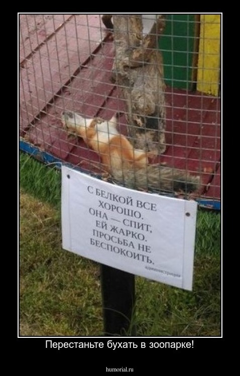Перестаньте бухать в зоопарке!