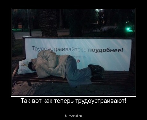 Так вот как теперь трудоустраивают!
