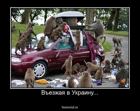 Въезжая в Украину...