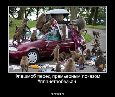 Флешмоб перед премьерным показом #планетаобезьян