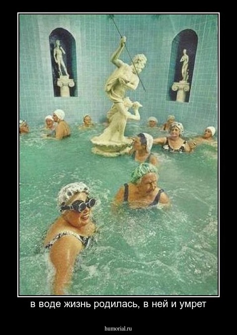 в воде жизнь родилась, в ней и умрет