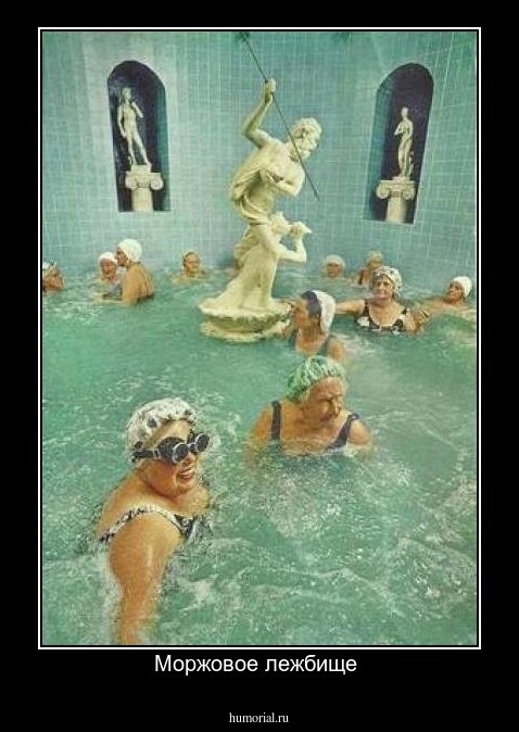 Моржовое лежбище 