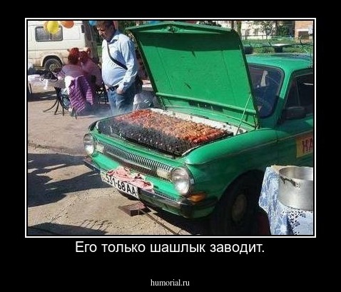 Его только шашлык заводит.