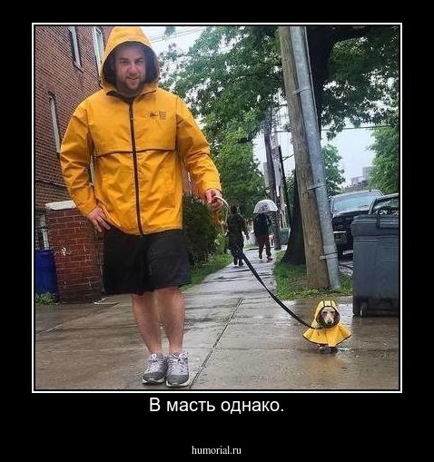 В масть однако.