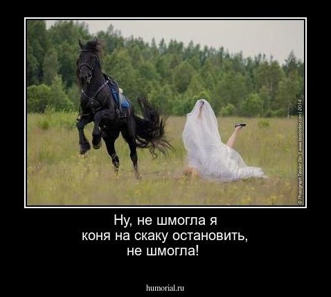 Ну, не шмогла я коня на скаку остановить, не шмогла!
