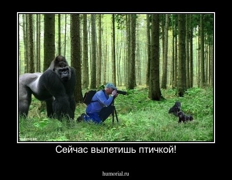 Сейчас вылетишь птичкой!